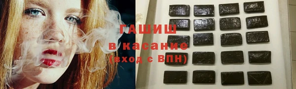 индика Алзамай