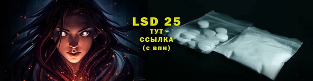 индика Алзамай