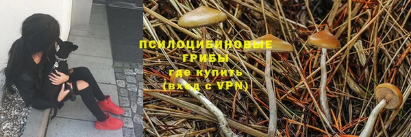 твердый Алексеевка
