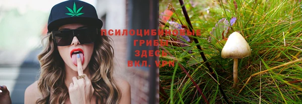 метадон Арсеньев