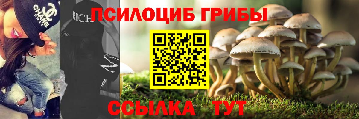 Псилоцибиновые грибы мухоморы  Вход с VPN  Псилоцибиновые грибы MAGIC MUSHROOMS  Глазов 
