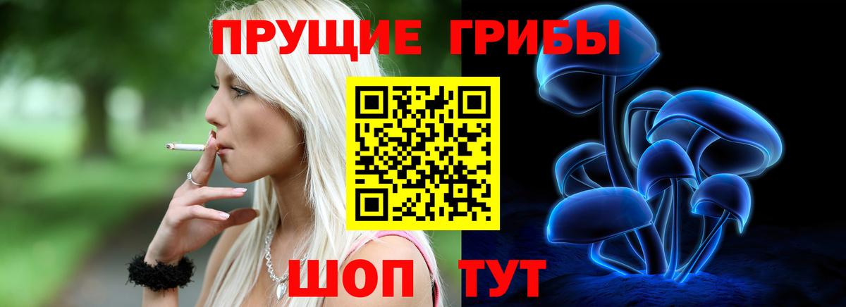 Галлюциногенные грибы Cubensis Глазов